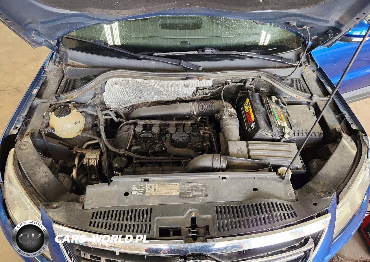 2010 Volkswagen Tiguan S VIN:WVGAV7AX0AW002741 - 11