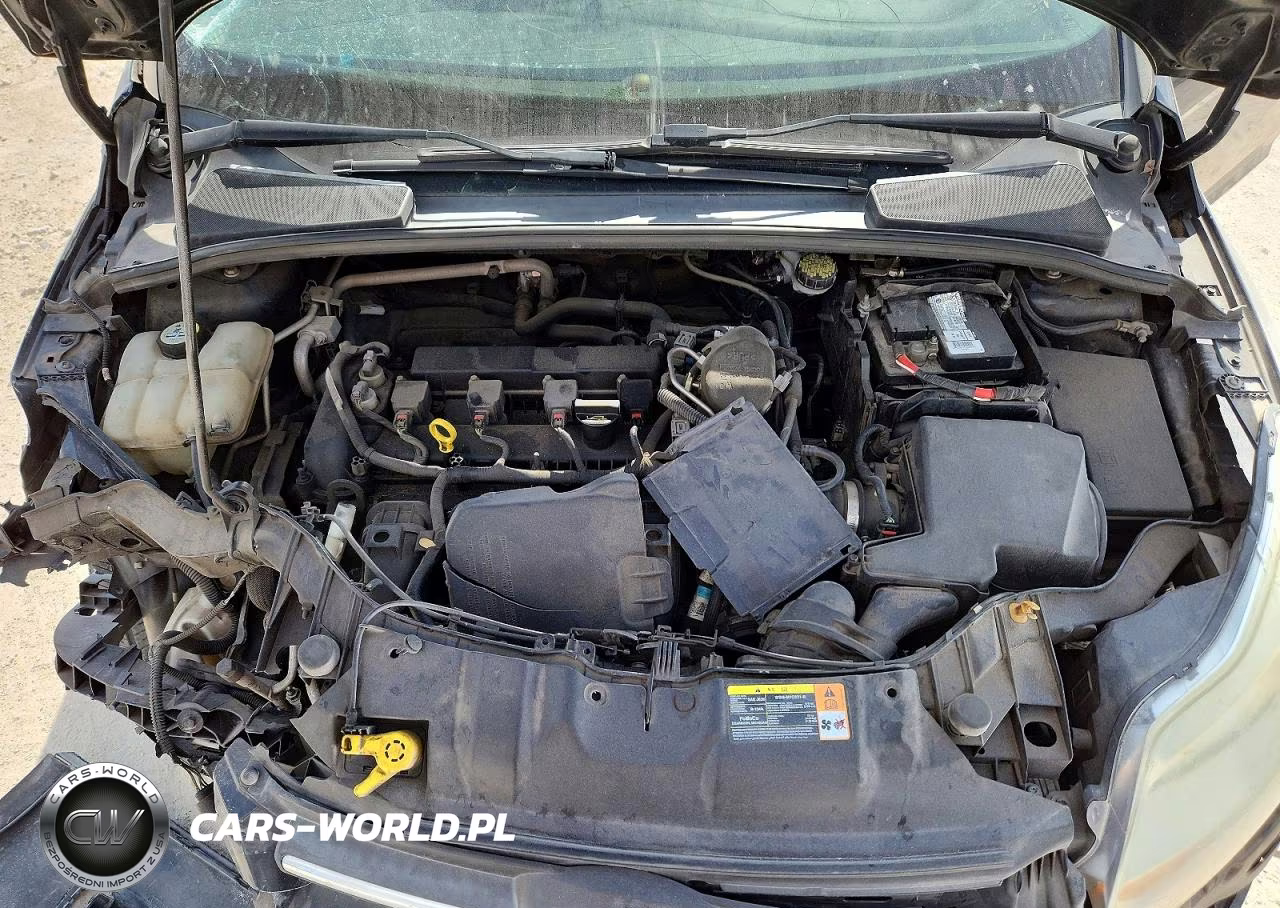2013 Ford Focus Se VIN:1FADP3F26DL183678 - 11