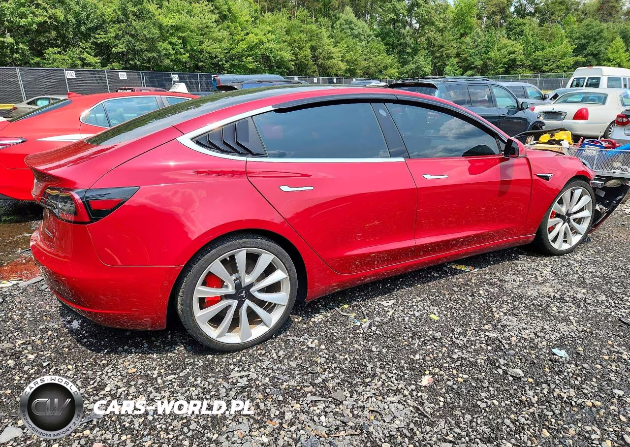 2019 Tesla Model 3 VIN:5YJ3E1EB0KF464148 - 3