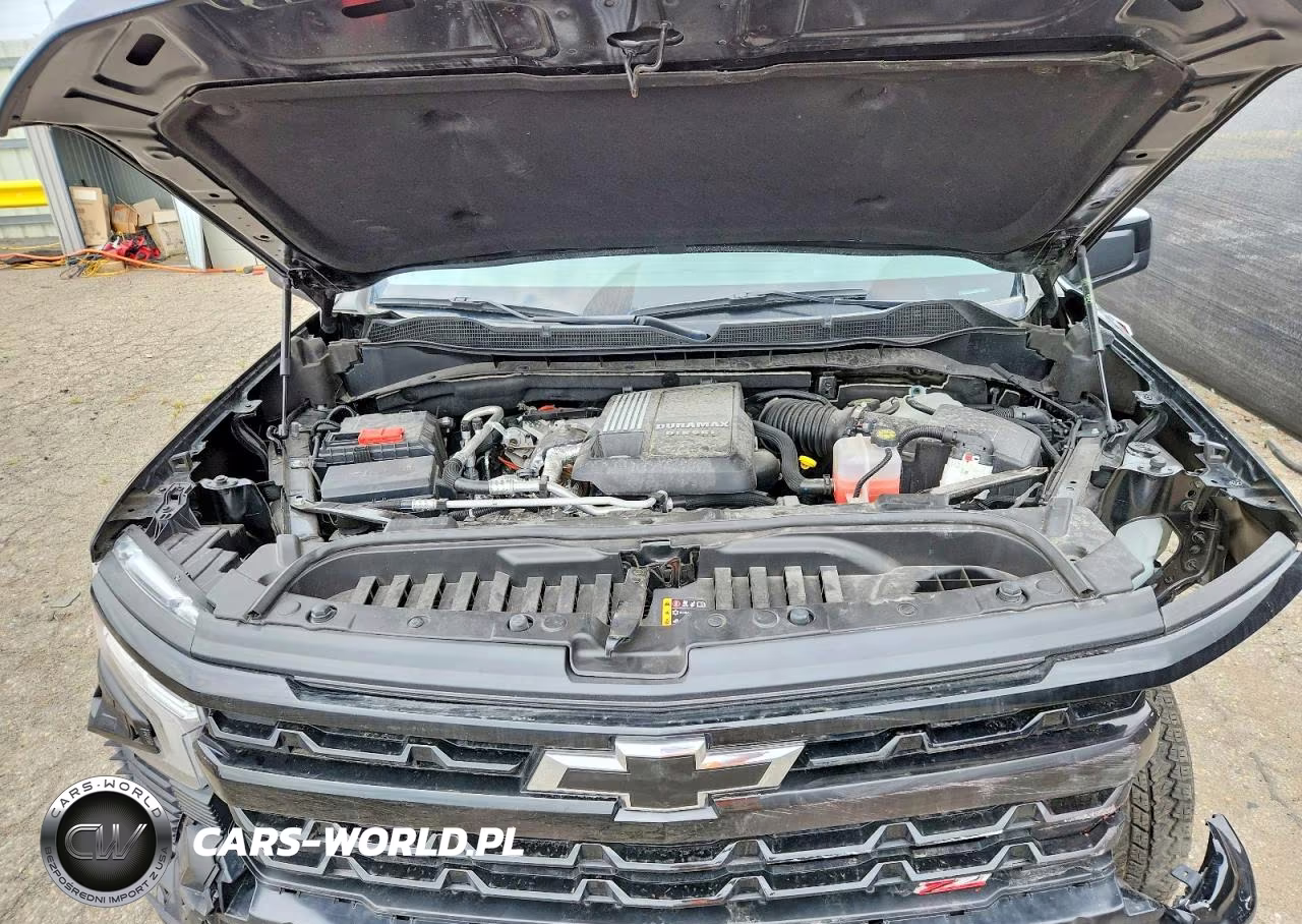 2025 Chevrolet Silverado 1500 4Wd Short Bed Lt Trail Boss VIN:3GCUKFE83SG195779 - 11