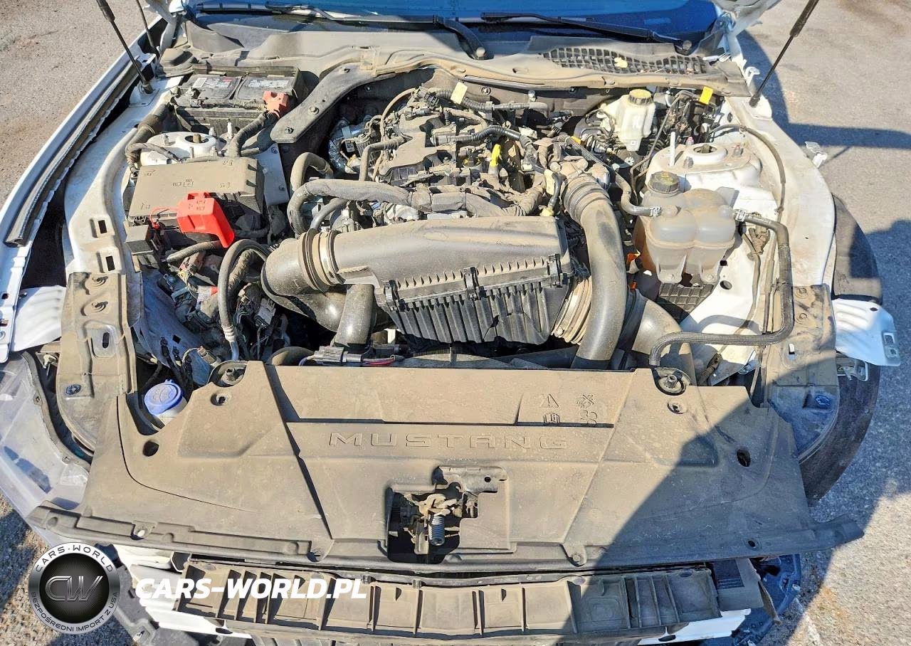 2024 Ford Mustang VIN:1FA6P8TH1R5138187 - 11