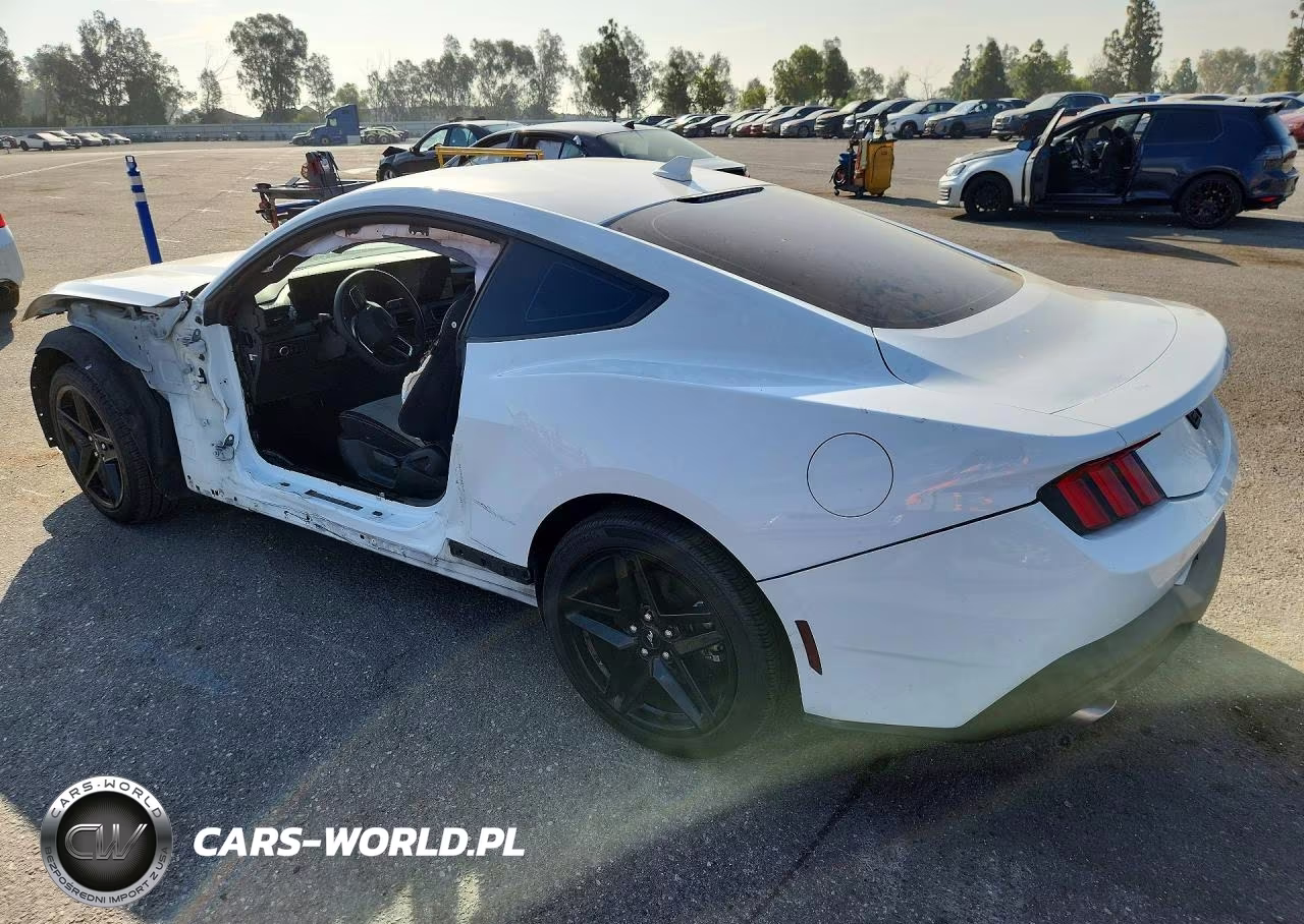2024 Ford Mustang VIN:1FA6P8TH1R5138187 - 2