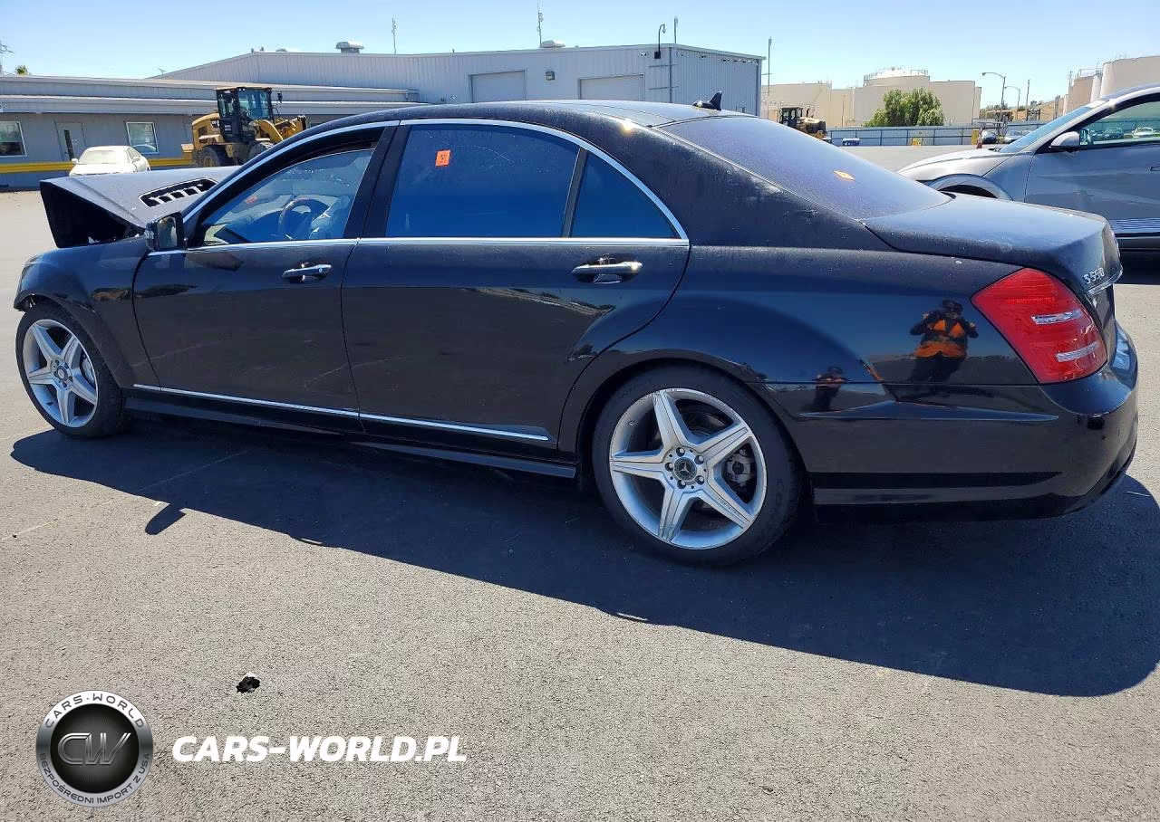 2010 Mercedes-Benz S 550 4Matic VIN:WDDNG8GB5AA289482 - 2