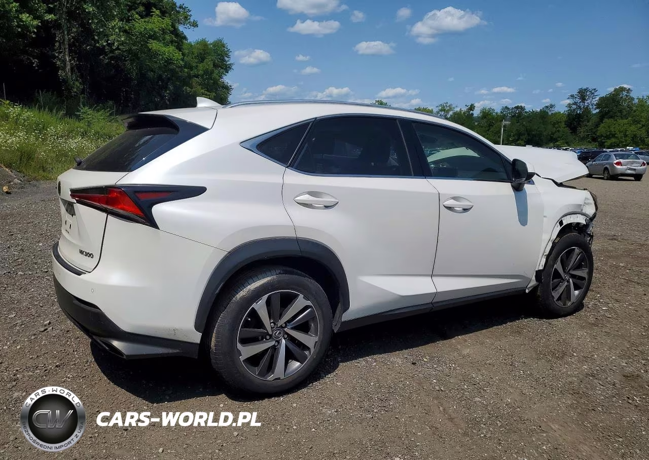 2018 Lexus Nx 300 Base VIN:JTJBARBZ5J2150274 - 3