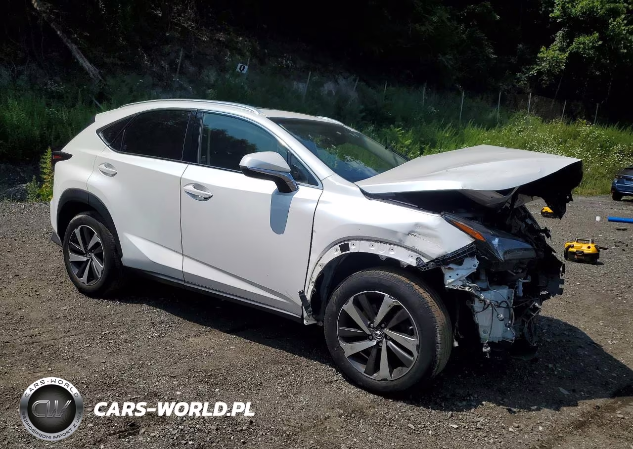2018 Lexus Nx 300 Base VIN:JTJBARBZ5J2150274 - 4