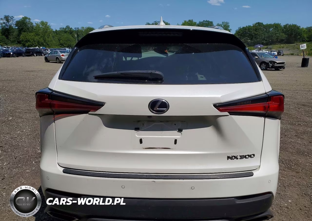 2018 Lexus Nx 300 Base VIN:JTJBARBZ5J2150274 - 6