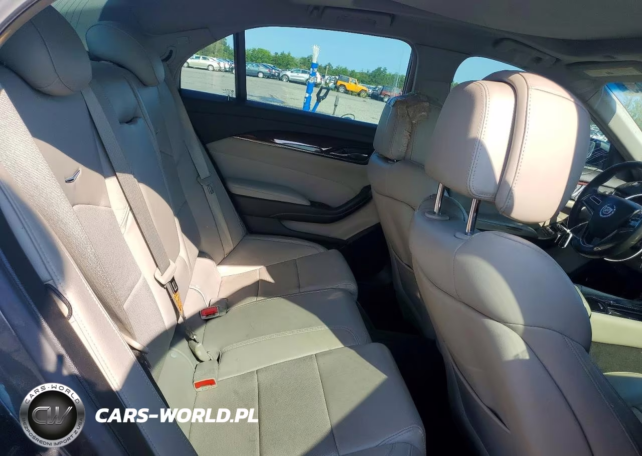 2014 Cadillac Cts Luxury Collection VIN:1G6AX5SX4E0197711 - 10
