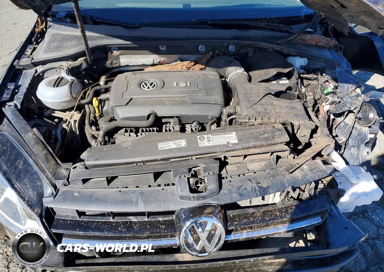 2017 Volkswagen Golf Sportwagen S VIN:3VWC17AUXHM502315 - 11