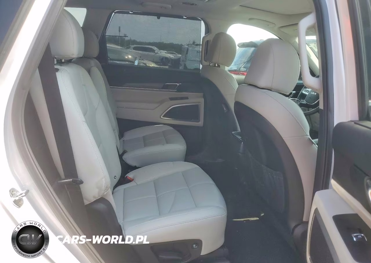2022 Kia Telluride Ex VIN:5XYP34HC6NG270749 - 11