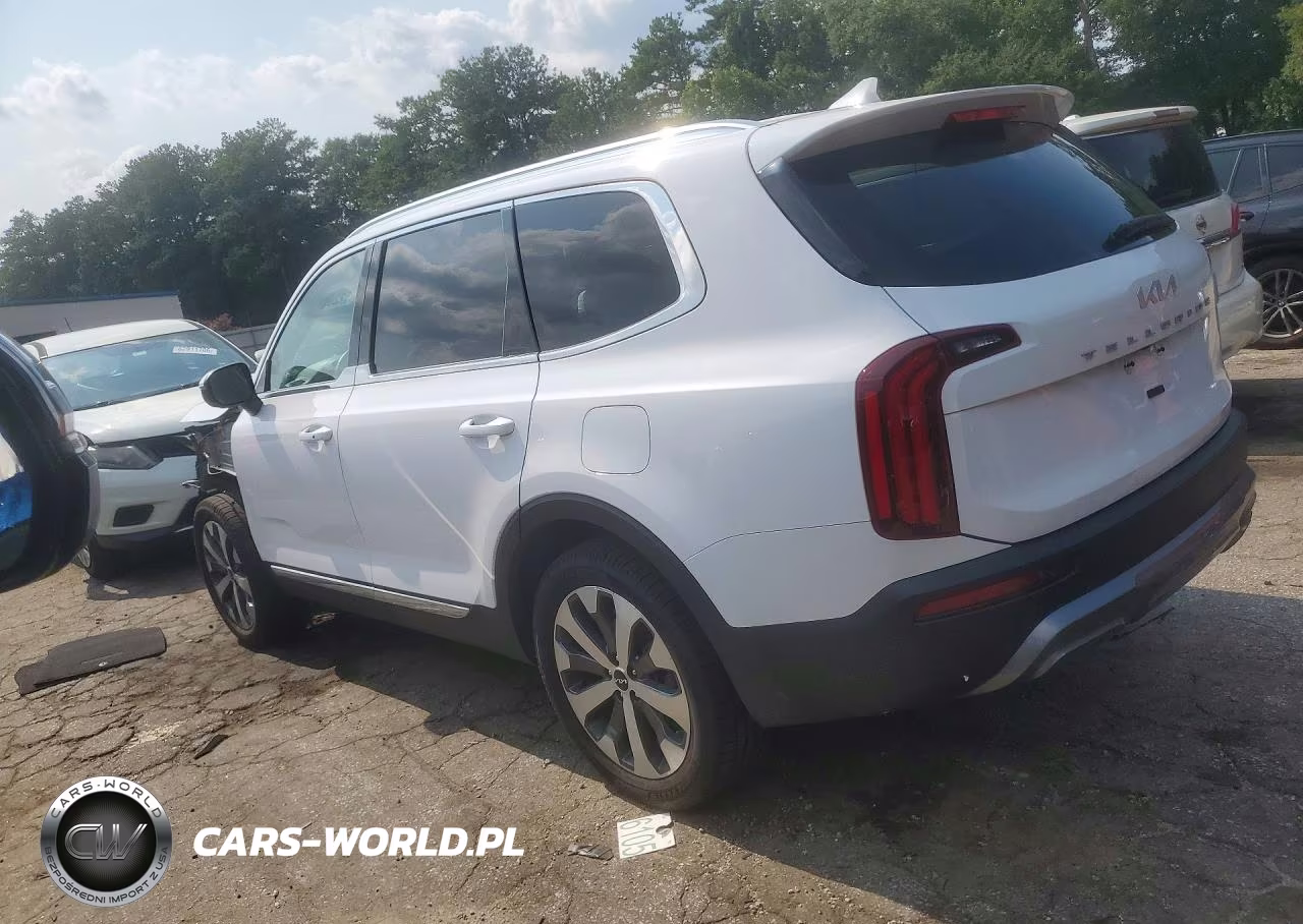 2022 Kia Telluride Ex VIN:5XYP34HC6NG270749 - 2