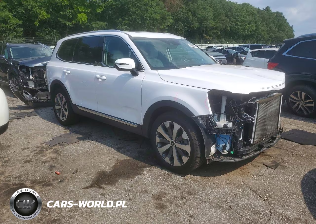 2022 Kia Telluride Ex VIN:5XYP34HC6NG270749 - 4