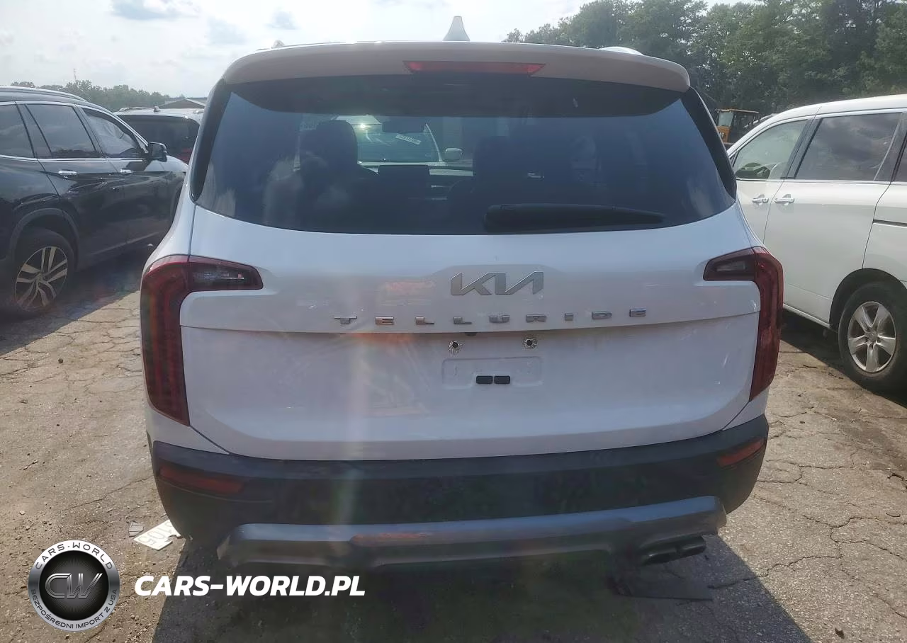 2022 Kia Telluride Ex VIN:5XYP34HC6NG270749 - 6