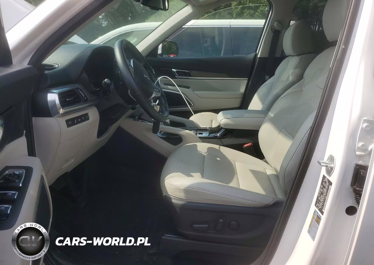 2022 Kia Telluride Ex VIN:5XYP34HC6NG270749 - 7