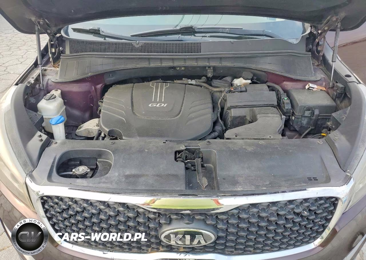 2016 Kia Sorento Lx V6 VIN:5XYPGDA5XGG038741 - 12