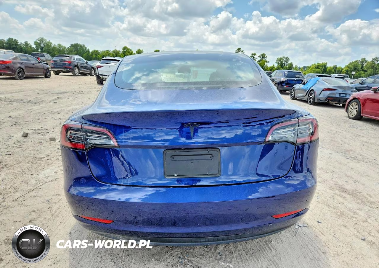 2020 Tesla Model 3 VIN:5YJ3E1EA3LF799316 - 6