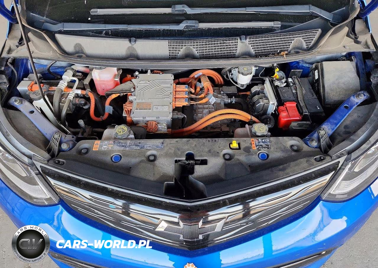 2021 Chevrolet Bolt Ev Lt VIN:1G1FY6S00M4110430 - 11