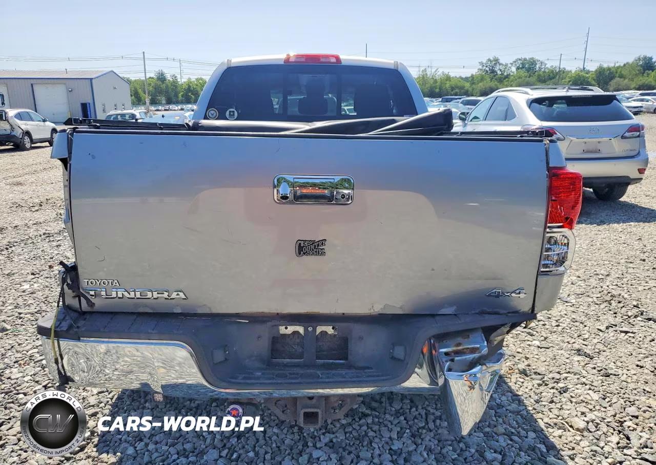 2010 Toyota Tundra Double Cab Sr5 VIN:5TFUY5F13AX101033 - 6