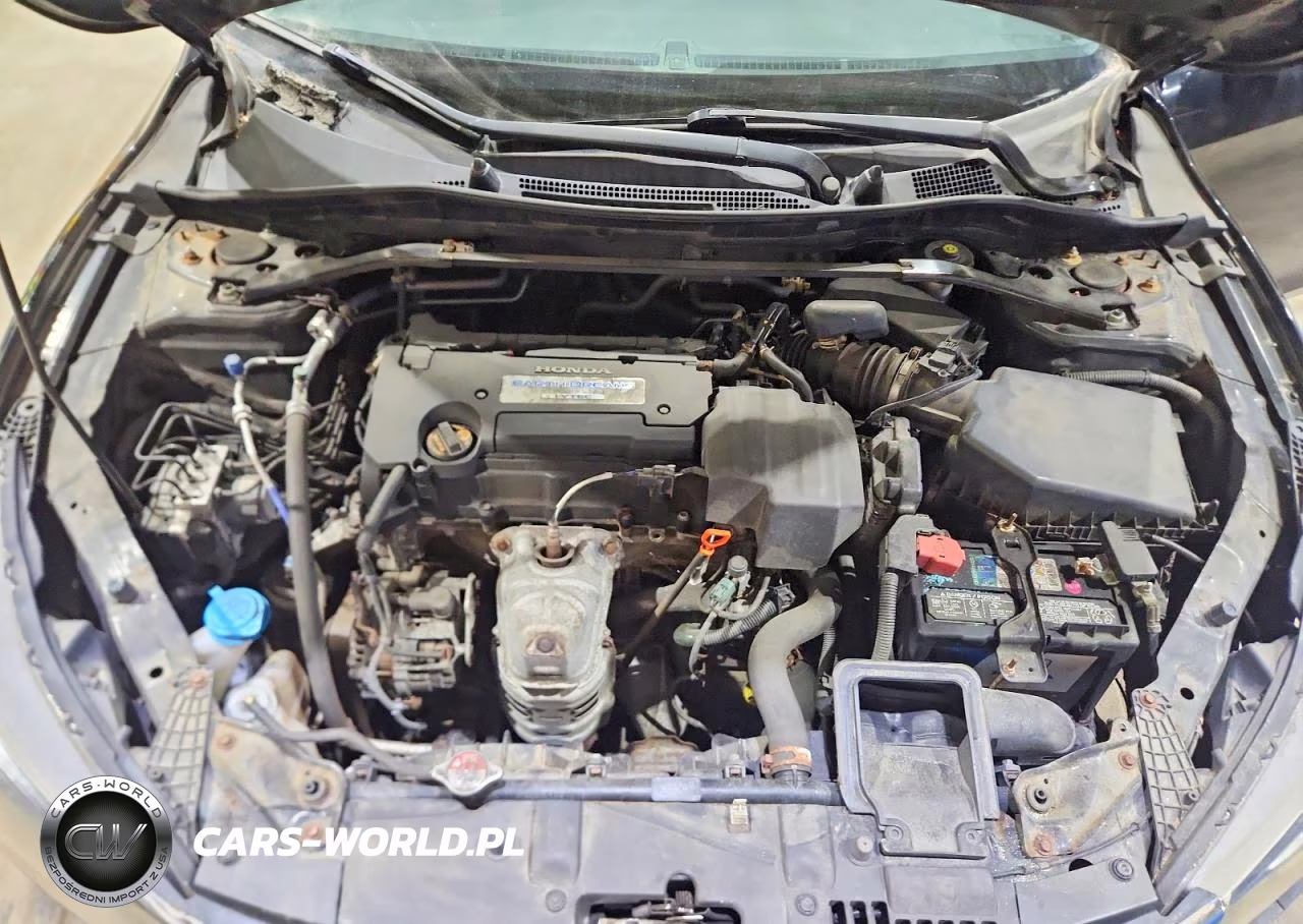 2013 Honda Accord Exl VIN:1HGCR2F88DA161242 - 11