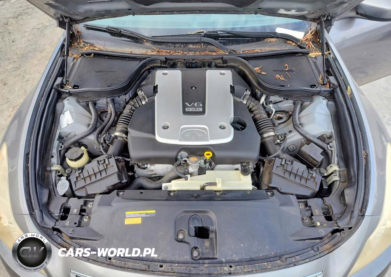 2010 Infiniti G37 Convertible Base VIN:JN1CV6FE6AM354798 - 11