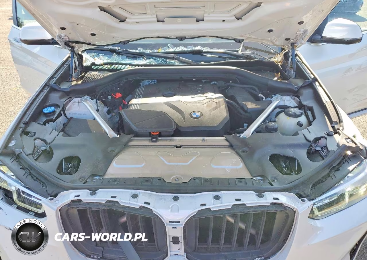 2024 BMW X3 xDrive30I VIN:5UX53DP02R9V84306 - 11
