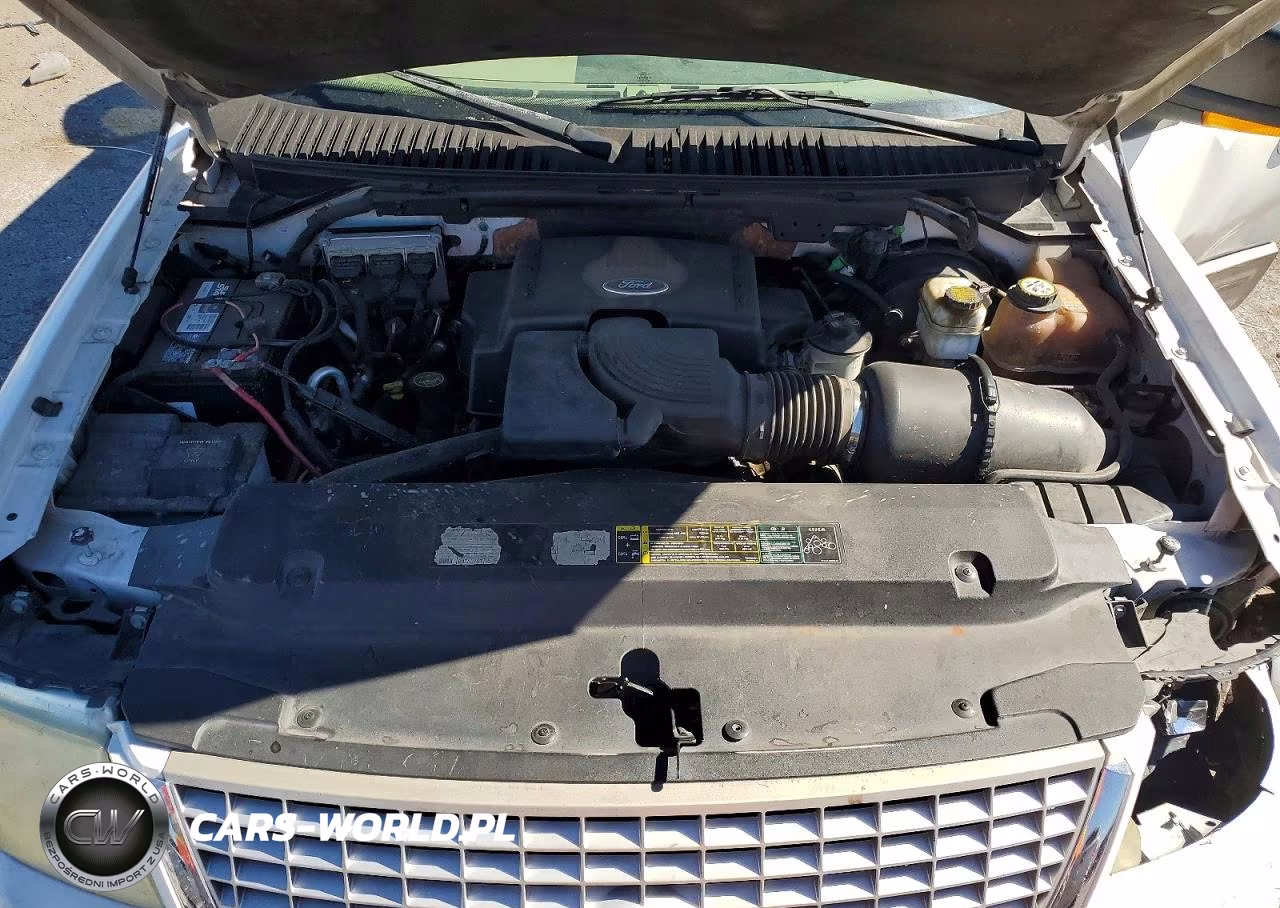 2004 Ford Expedition Eddie Bauer VIN:1FMPU17L24LB18429 - 12