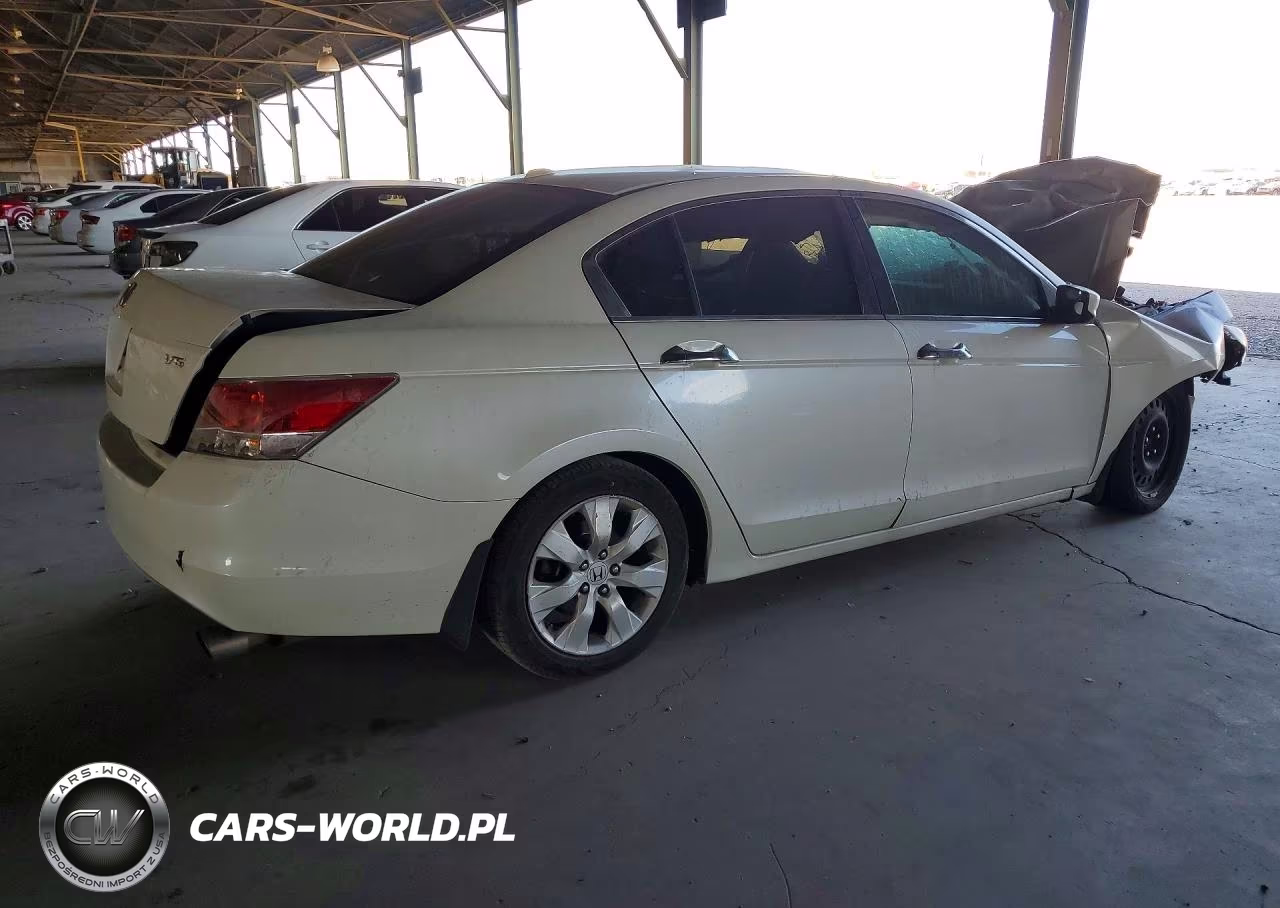 2010 Honda Accord Exl VIN:1HGCP3F85AA026758 - 3