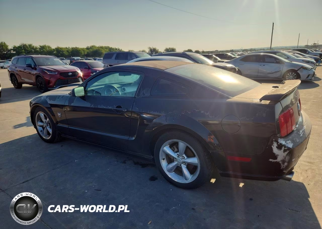 2009 Ford Mustang Gt VIN:1ZVHT82H195102397 - 2