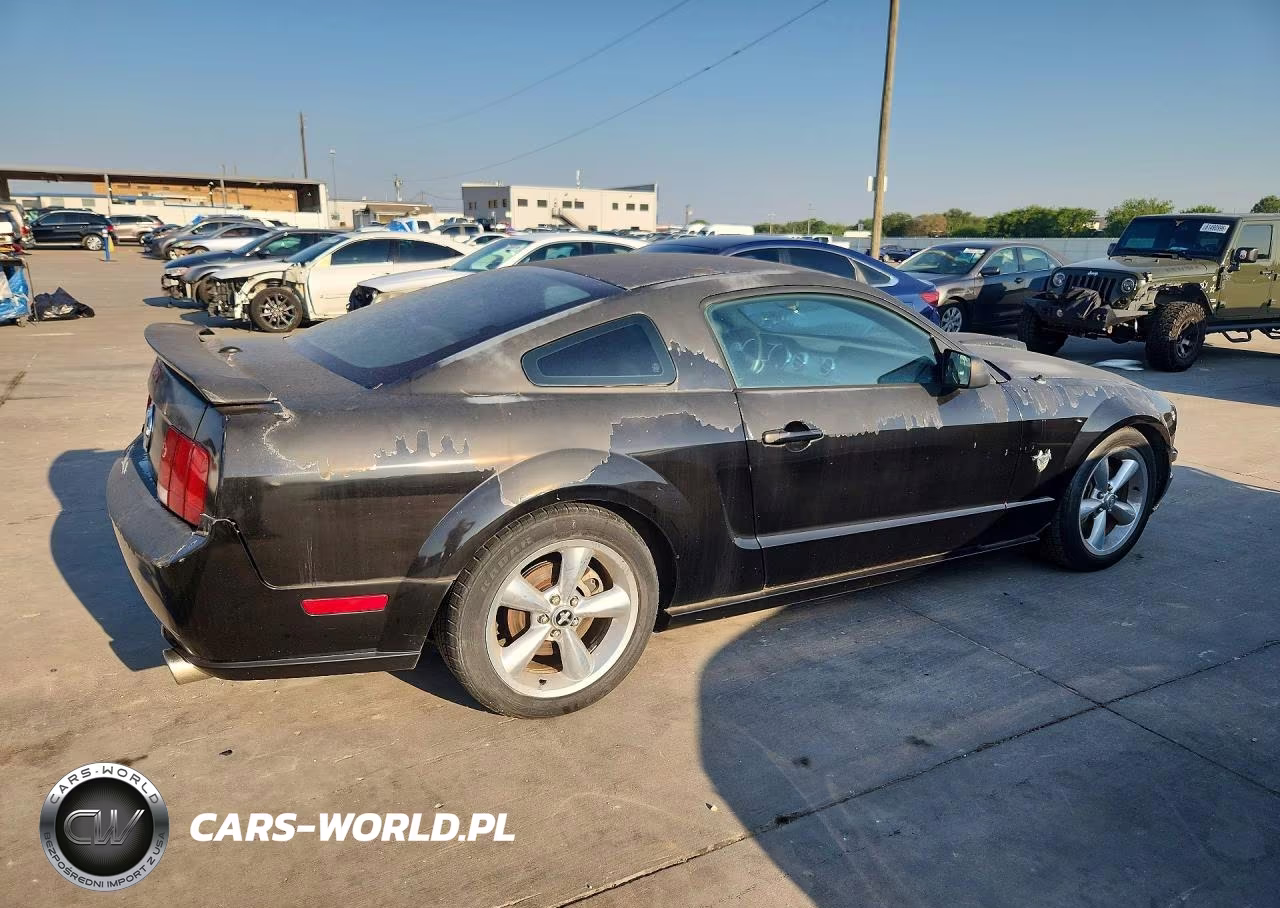 2009 Ford Mustang Gt VIN:1ZVHT82H195102397 - 3