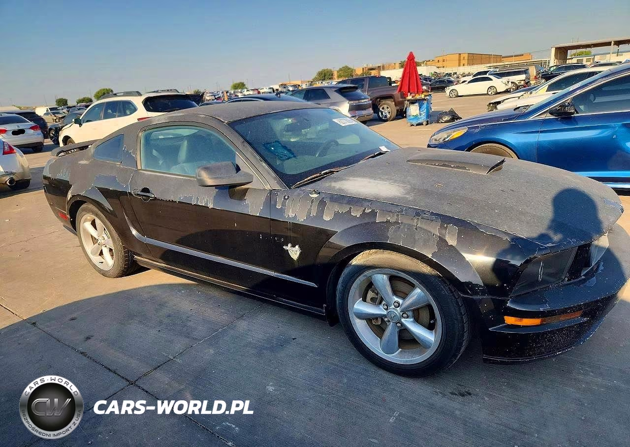 2009 Ford Mustang Gt VIN:1ZVHT82H195102397 - 4