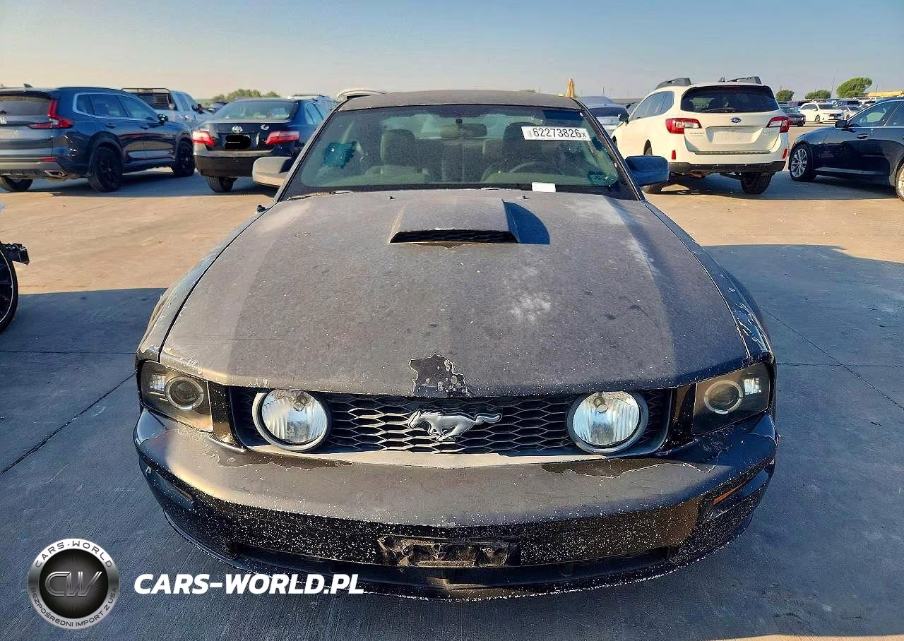2009 Ford Mustang Gt VIN:1ZVHT82H195102397 - 5