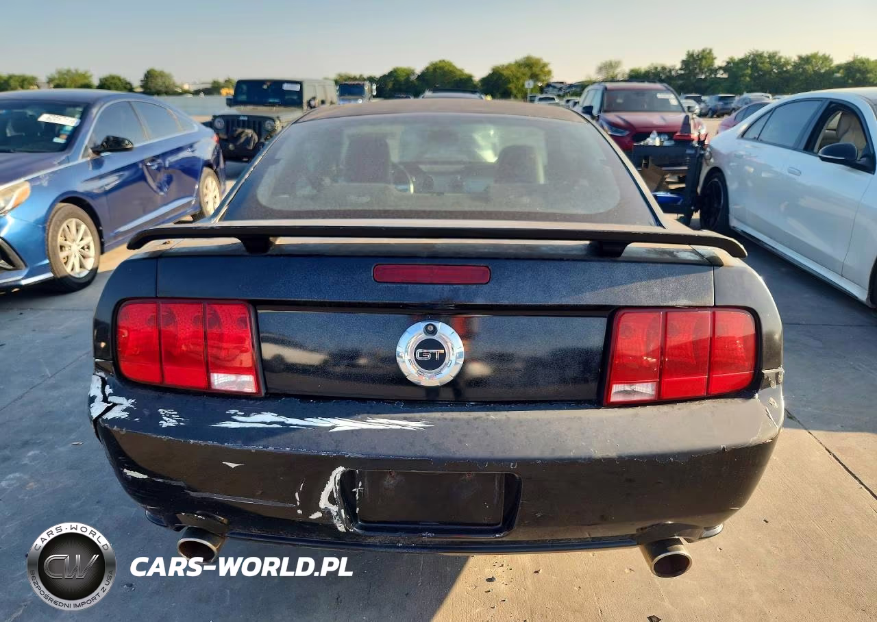 2009 Ford Mustang Gt VIN:1ZVHT82H195102397 - 6