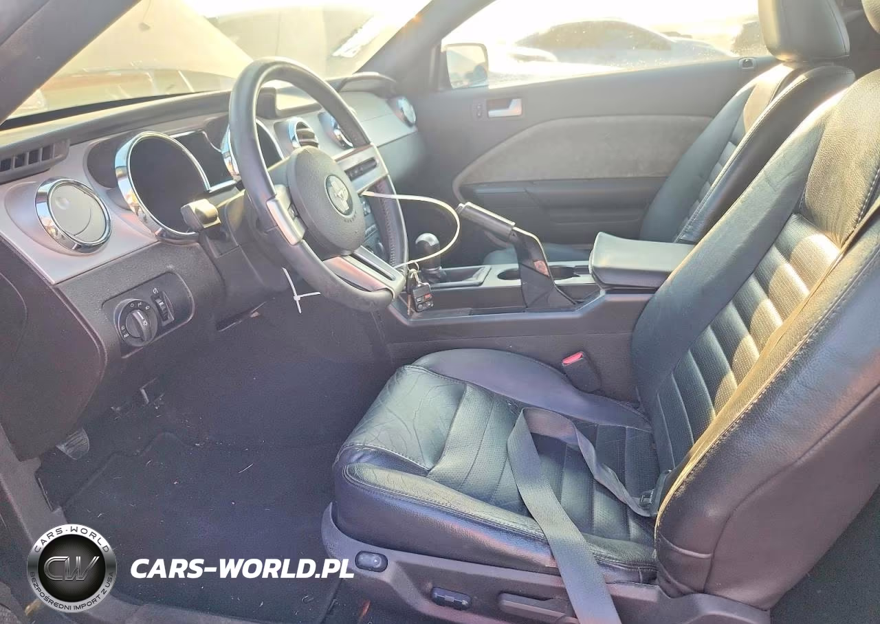 2009 Ford Mustang Gt VIN:1ZVHT82H195102397 - 7