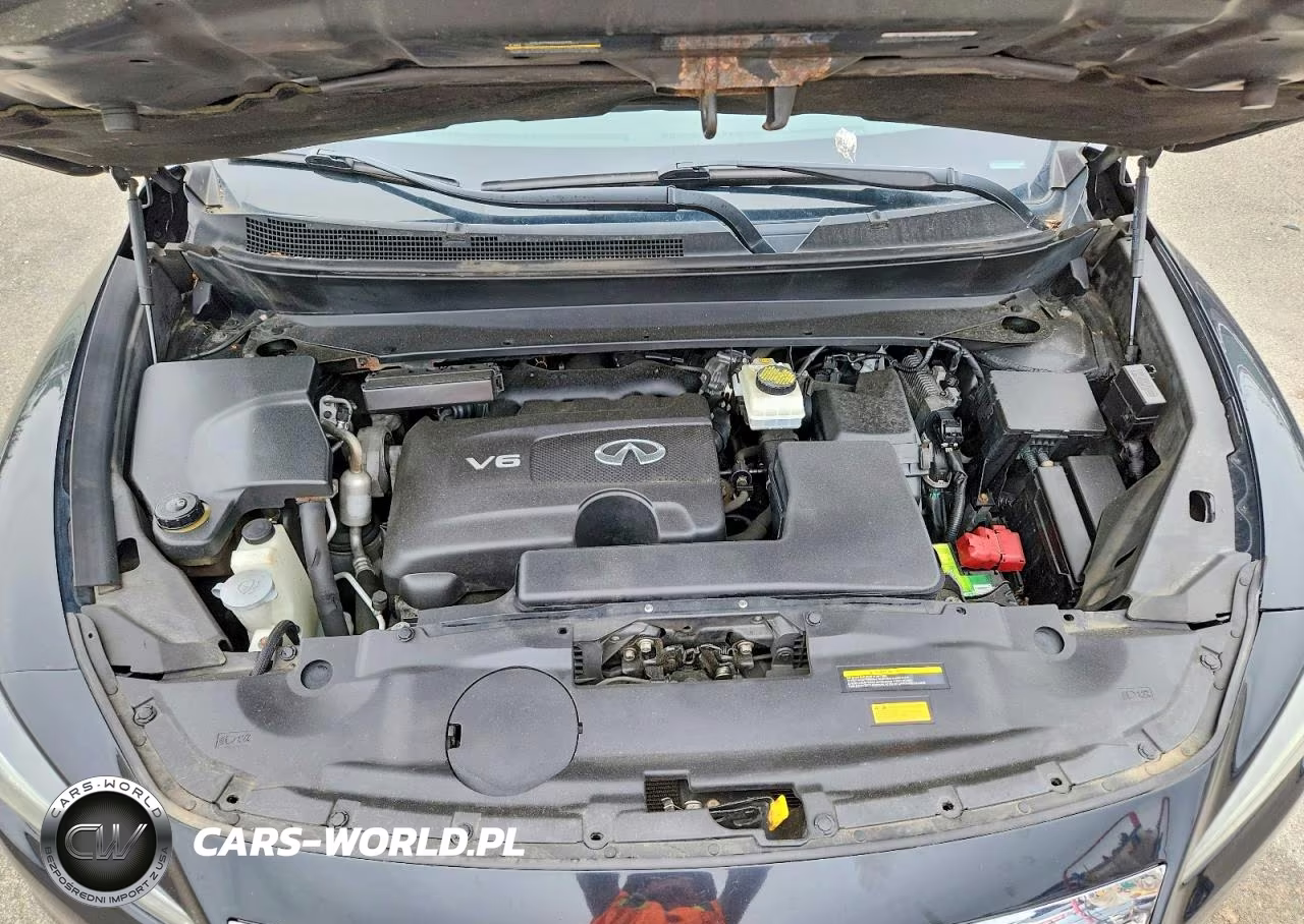 2019 Infiniti Qx60 Pure VIN:5N1DL0MM3KC565829 - 12