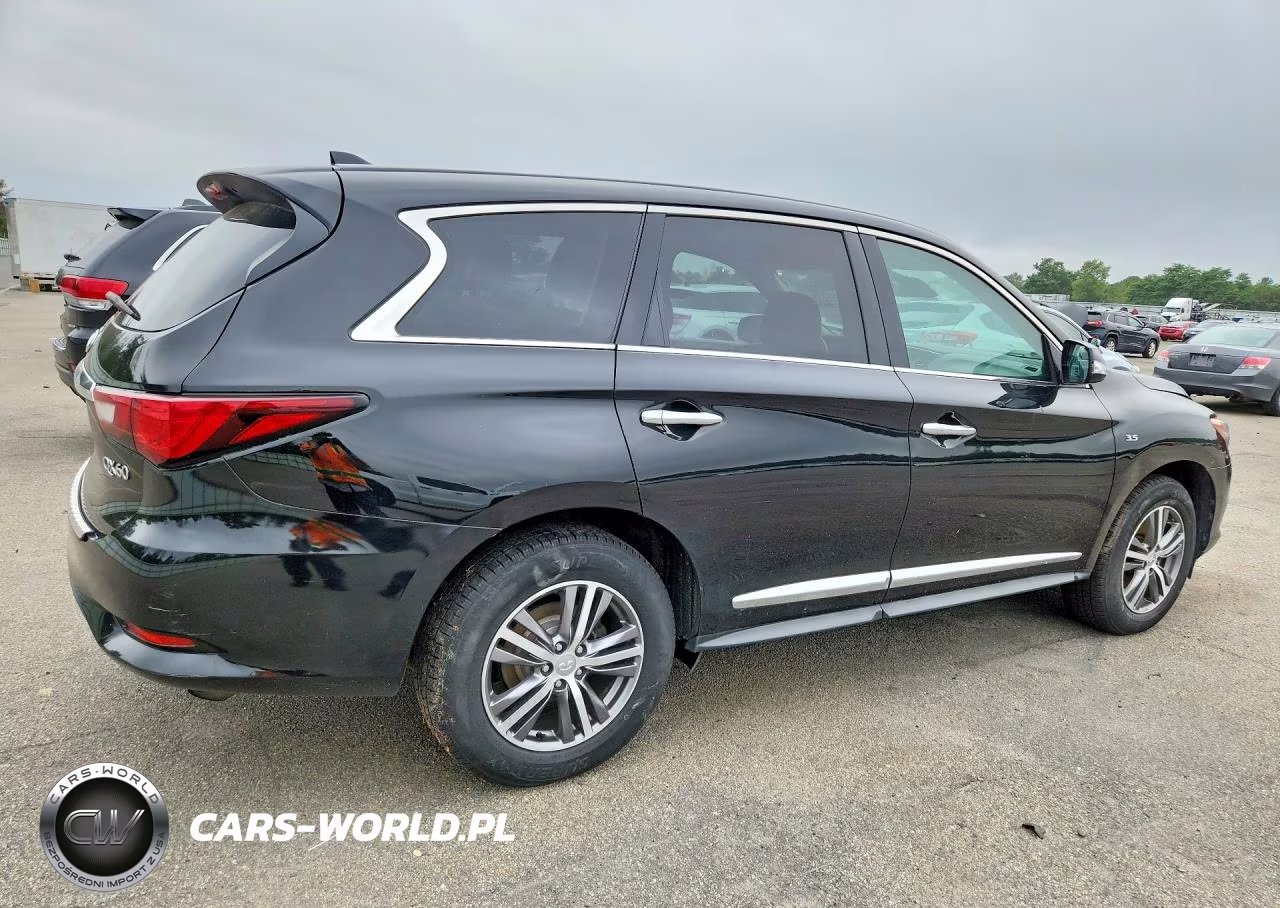 2019 Infiniti Qx60 Pure VIN:5N1DL0MM3KC565829 - 3