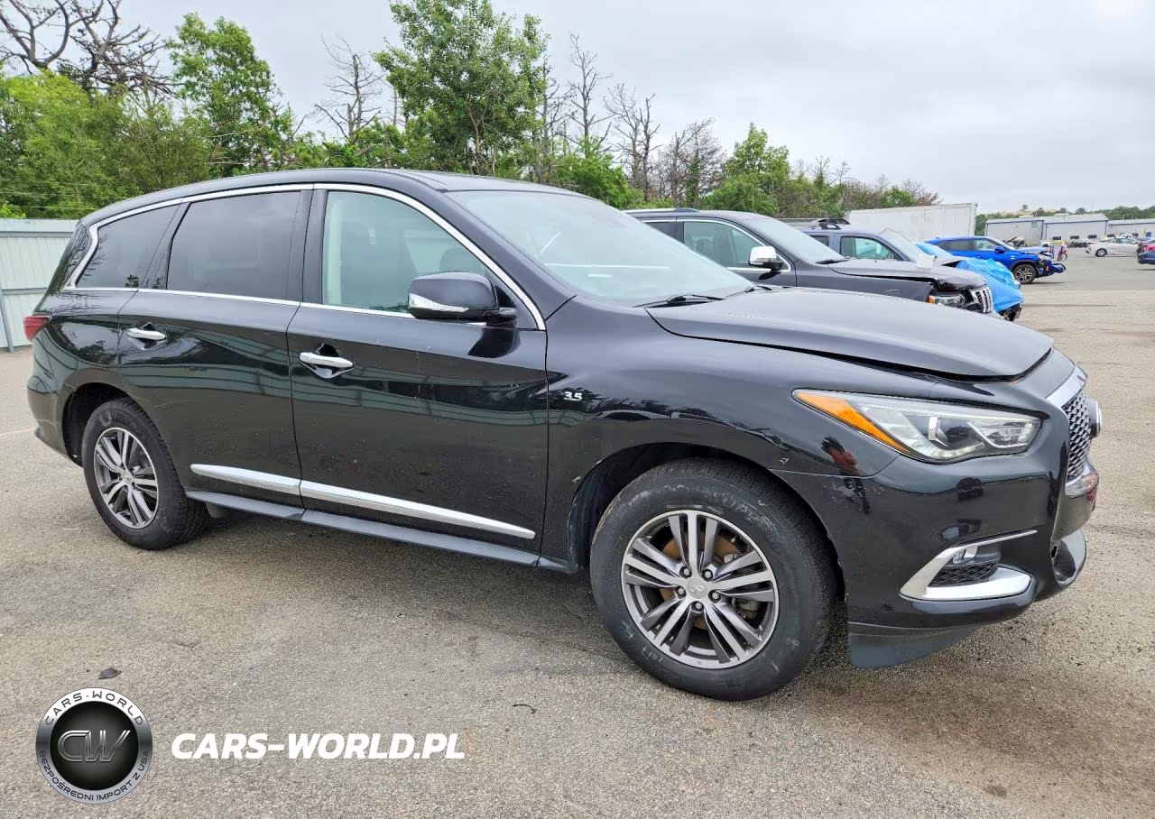 2019 Infiniti Qx60 Pure VIN:5N1DL0MM3KC565829 - 4