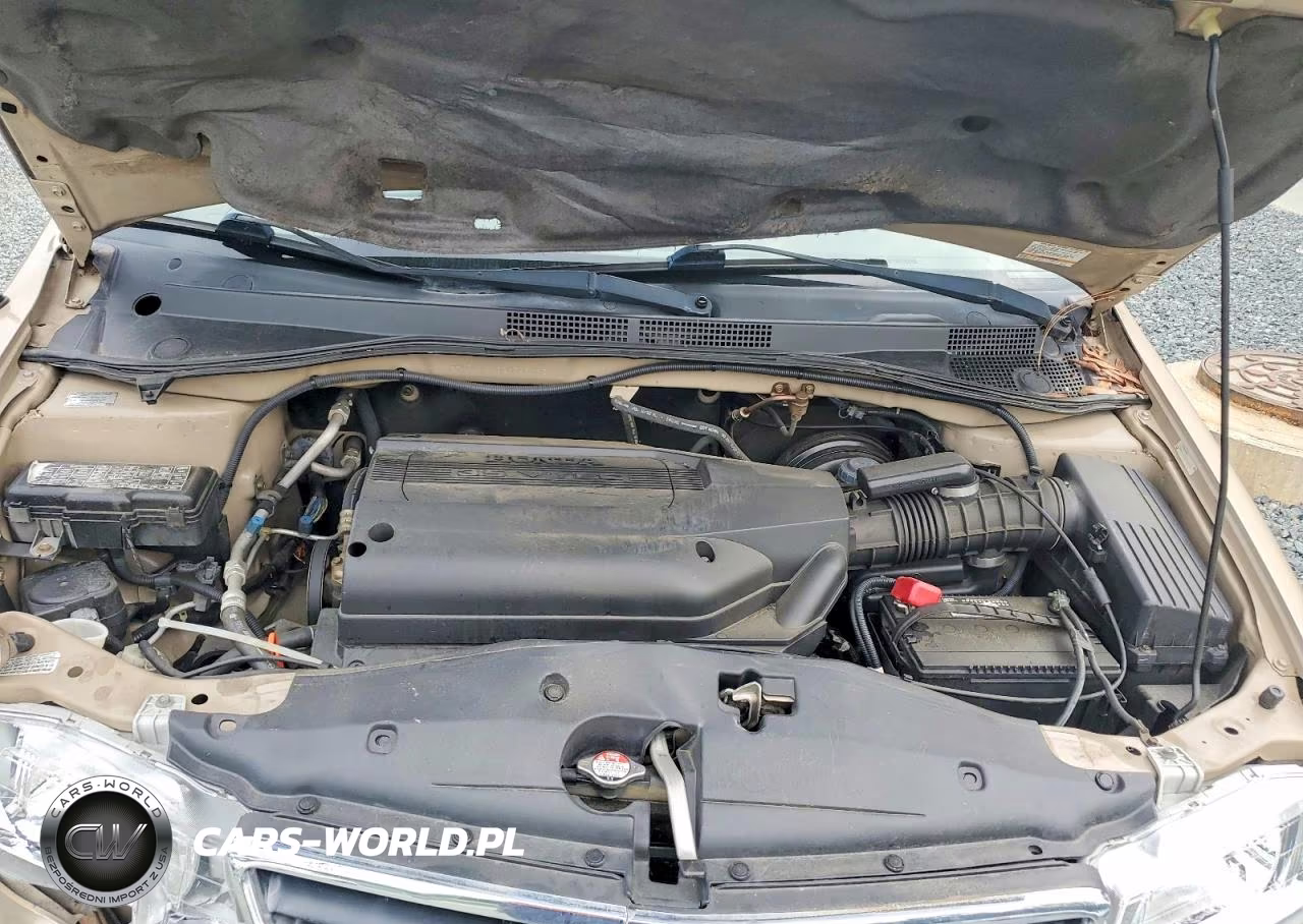 2002 Honda Odyssey Exl VIN:2HKRL18962H528932 - 12