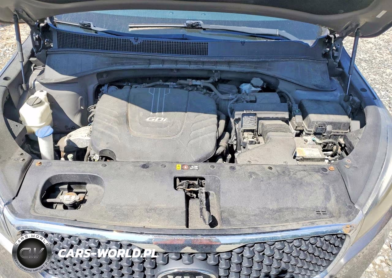 2017 Kia Sorento Lx V6 VIN:5XYPGDA57HG210967 - 12
