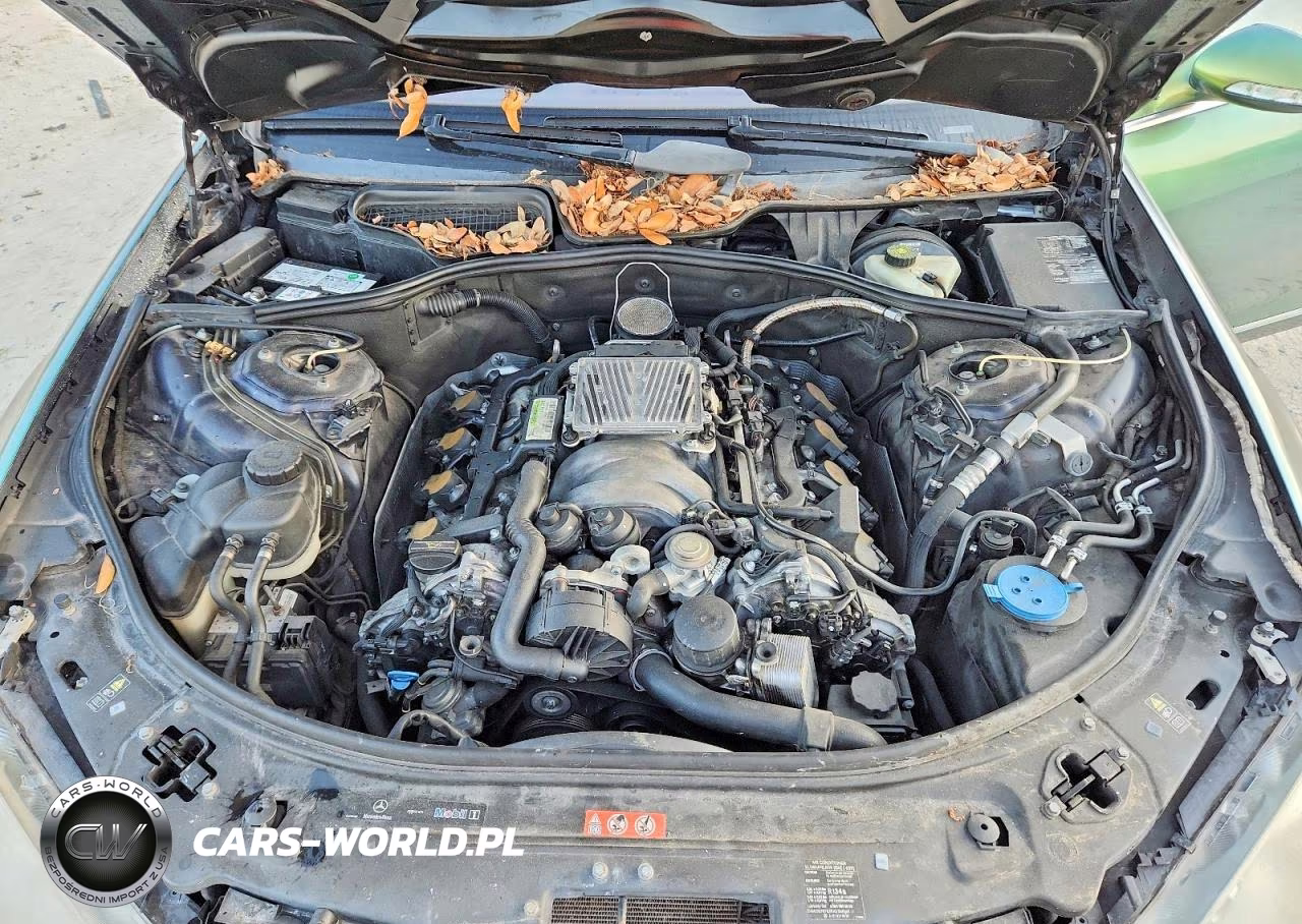 2007 Mercedes-Benz S 550 VIN:WDDNG71X47A098479 - 11