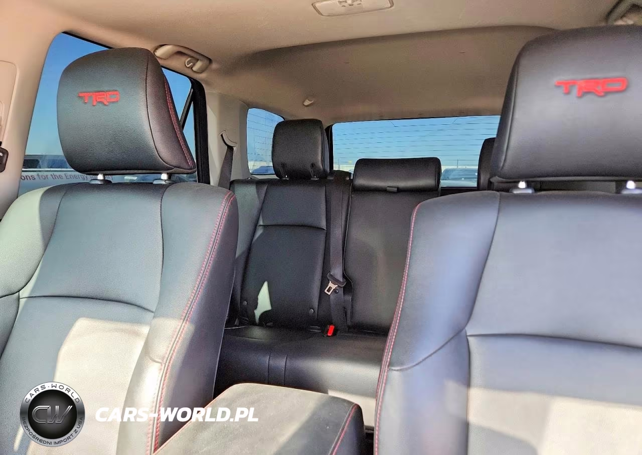 2020 Toyota 4Runner Trd Pro VIN:JTEBU5JR6L5745376 - 10
