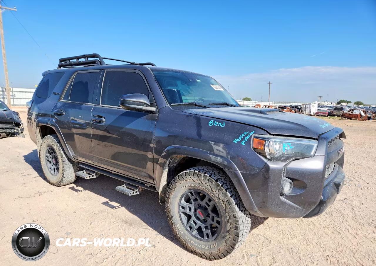 2020 Toyota 4Runner Trd Pro VIN:JTEBU5JR6L5745376 - 4