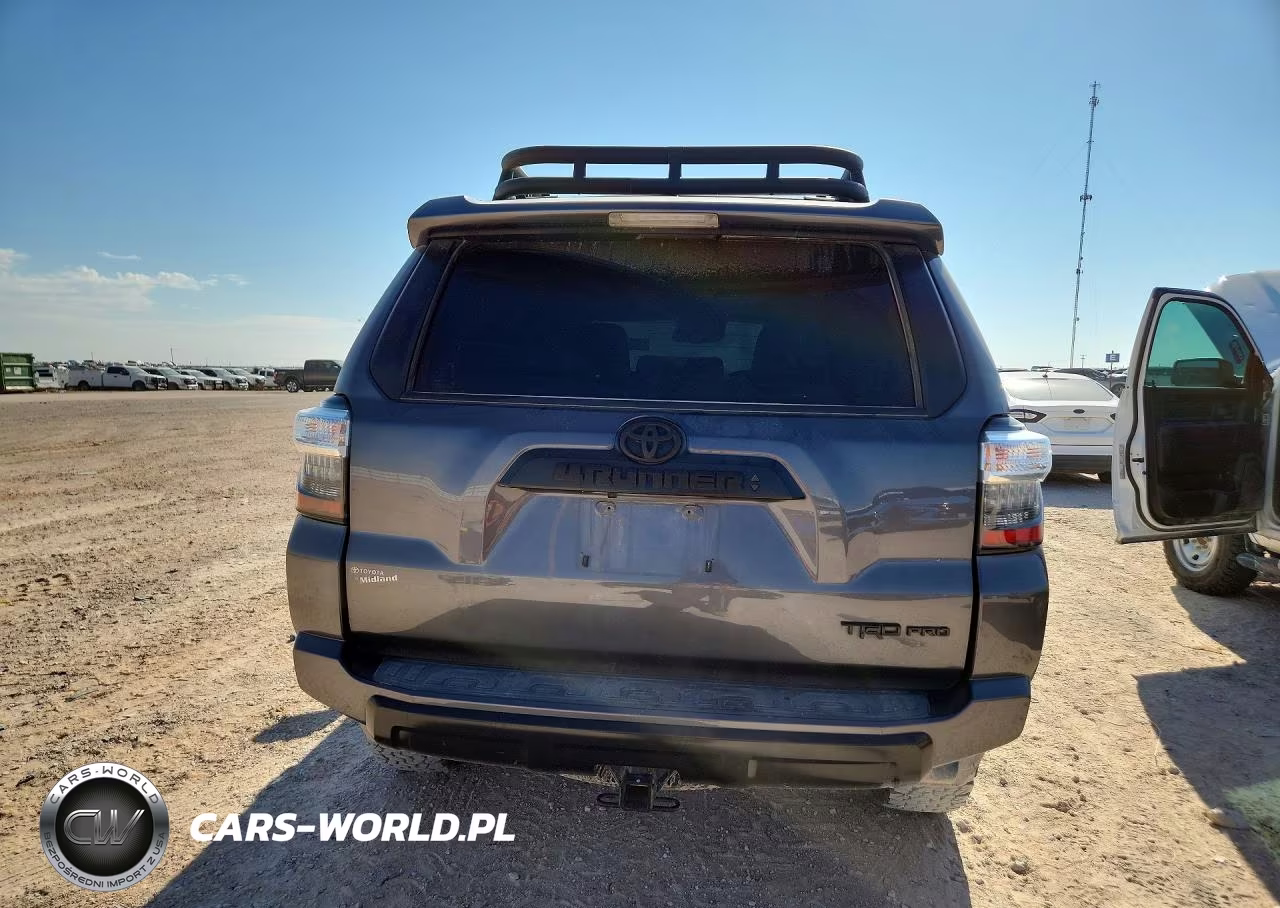 2020 Toyota 4Runner Trd Pro VIN:JTEBU5JR6L5745376 - 6