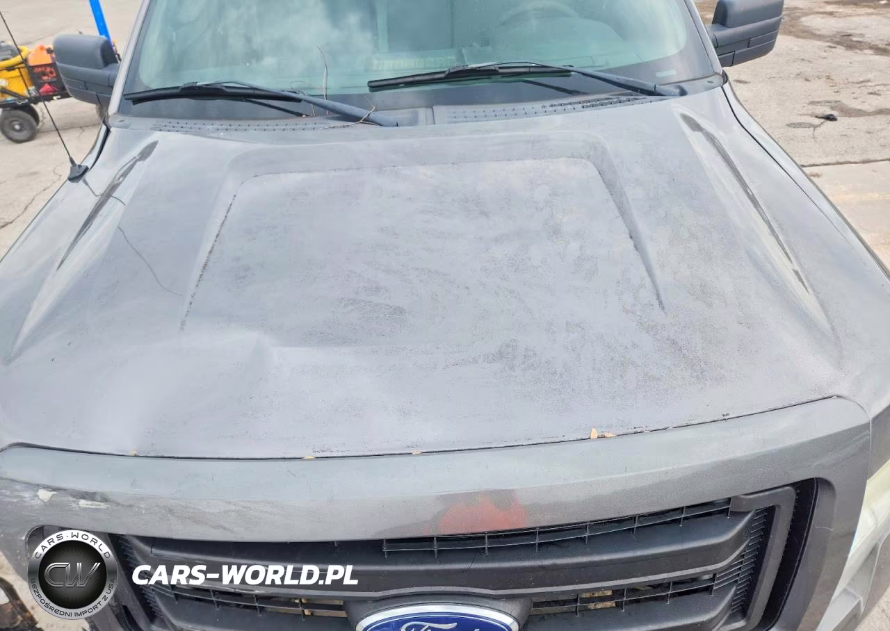 2013 Ford F150 VIN:1FTMF1CM6DFB09392 - 11