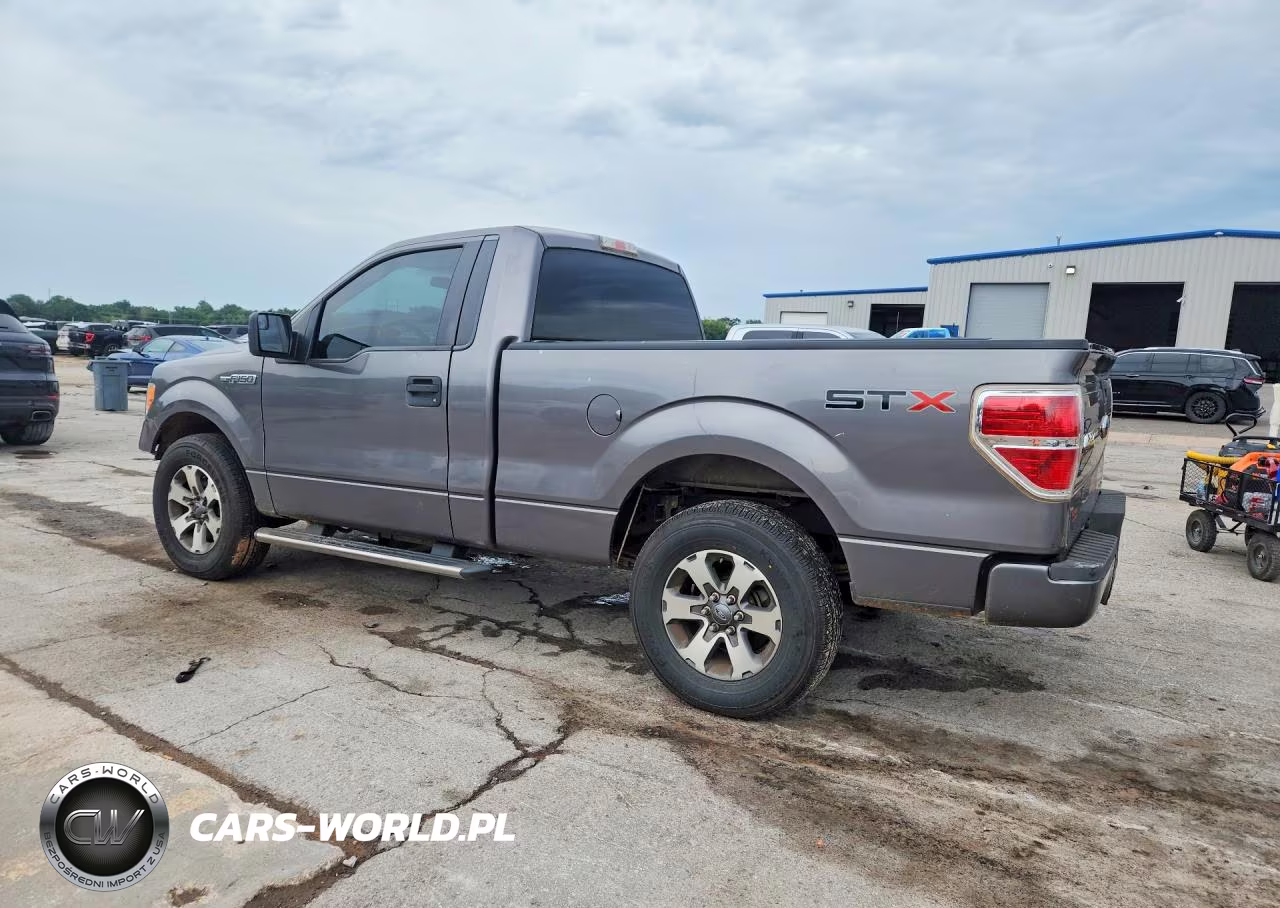 2013 Ford F150 VIN:1FTMF1CM6DFB09392 - 2