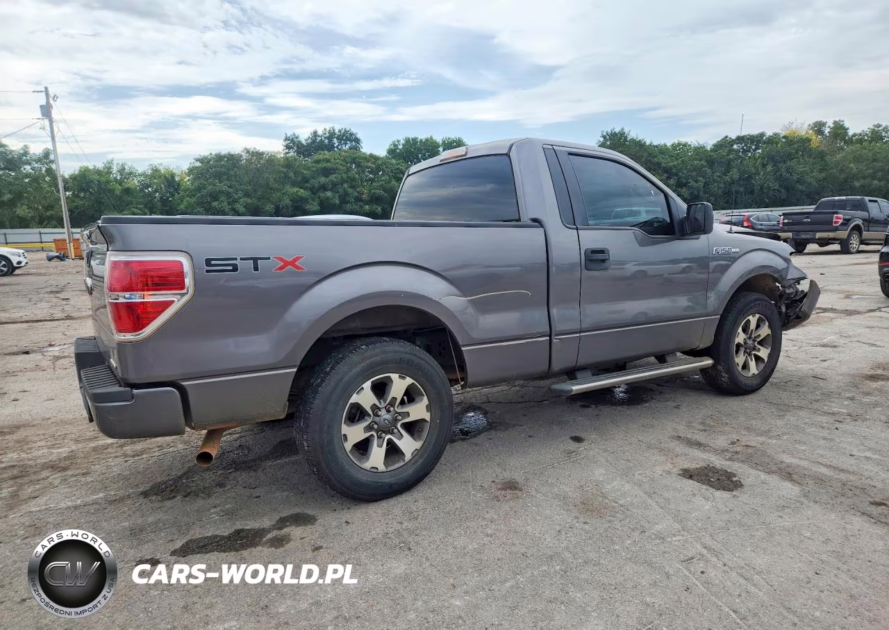 2013 Ford F150 VIN:1FTMF1CM6DFB09392 - 3
