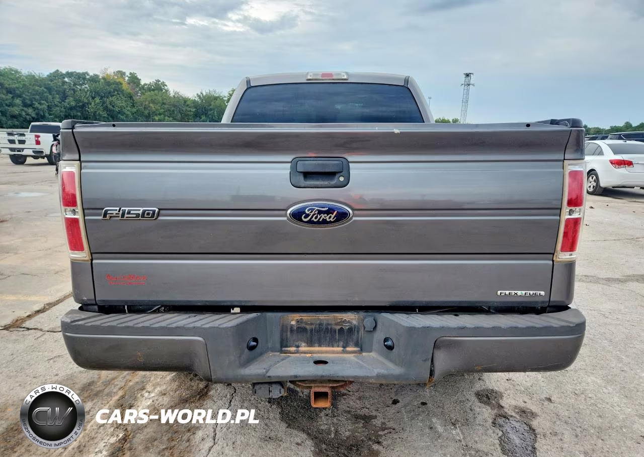 2013 Ford F150 VIN:1FTMF1CM6DFB09392 - 6