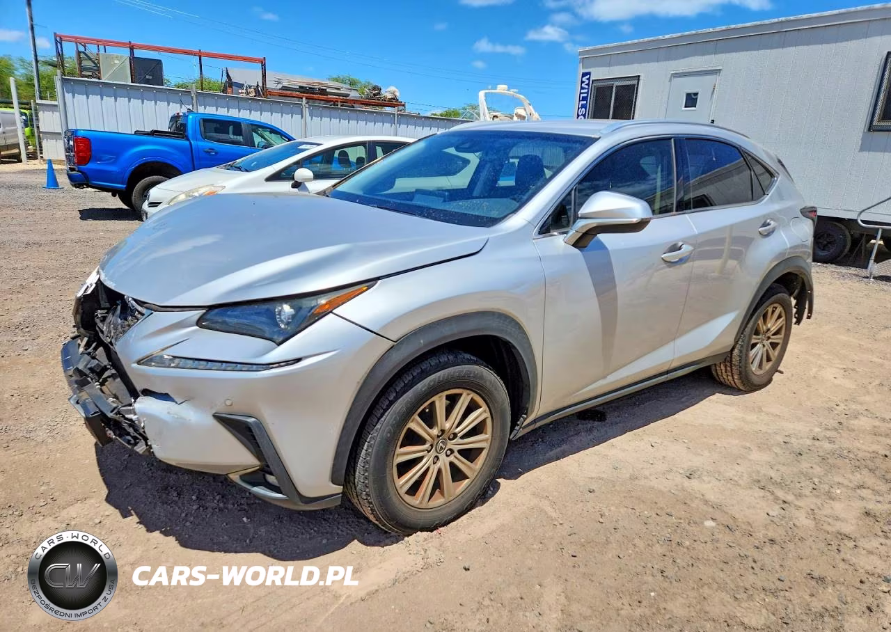 2019 Lexus Nx 300 Base VIN:JTJYARBZ0K2117128 - 1