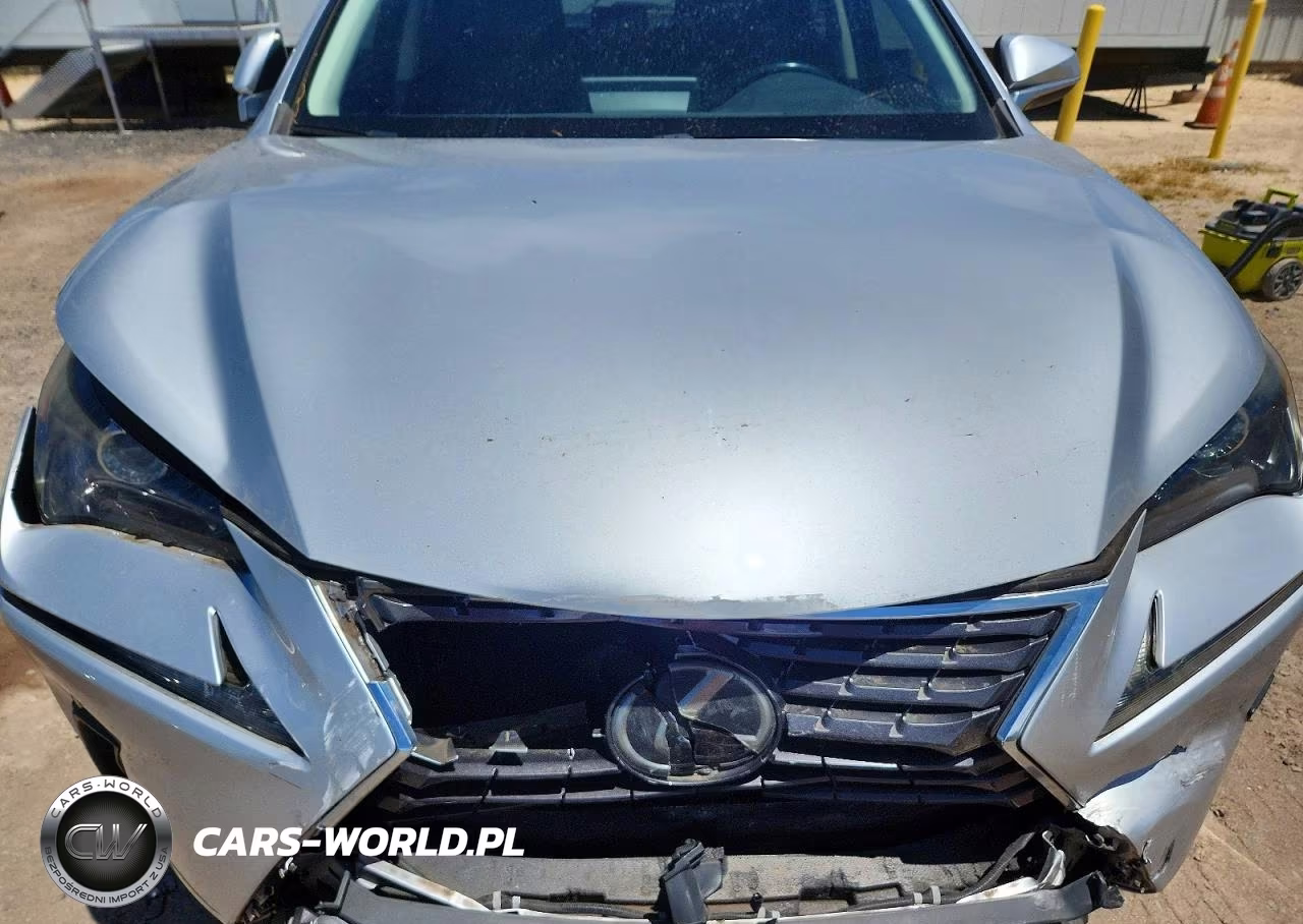 2019 Lexus Nx 300 Base VIN:JTJYARBZ0K2117128 - 12
