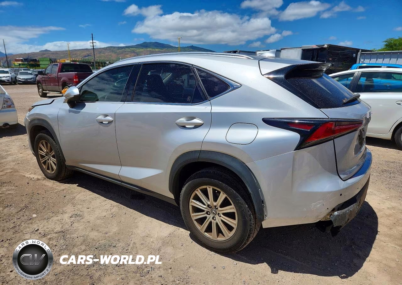 2019 Lexus Nx 300 Base VIN:JTJYARBZ0K2117128 - 2