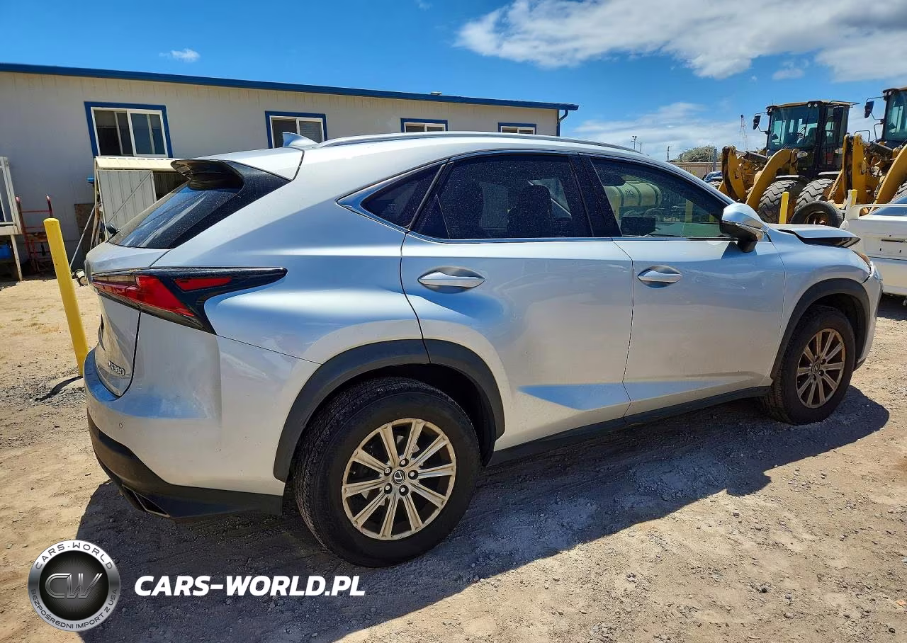 2019 Lexus Nx 300 Base VIN:JTJYARBZ0K2117128 - 3