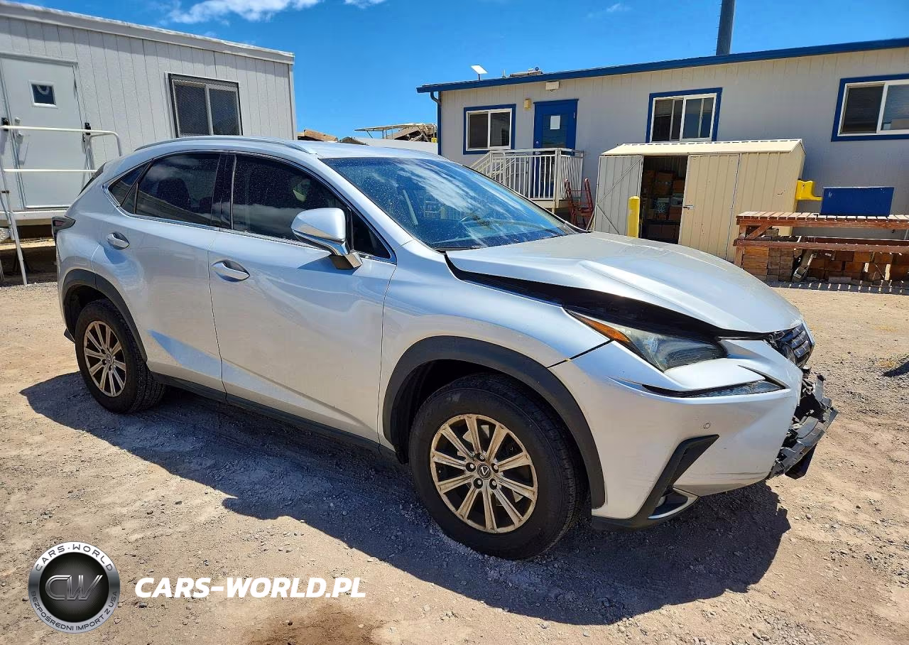 2019 Lexus Nx 300 Base VIN:JTJYARBZ0K2117128 - 4